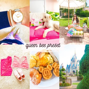 May include: A collage of images featuring a pink and white floral pillow, a white dog, a woman sitting on a green and white striped lounge chair, a plate of breakfast food with Mickey Mouse waffles, a pink sports bra and leggings, and a view of Cinderella's Castle at Walt Disney World. The text "queen bee preset" is written in white on a pink background.