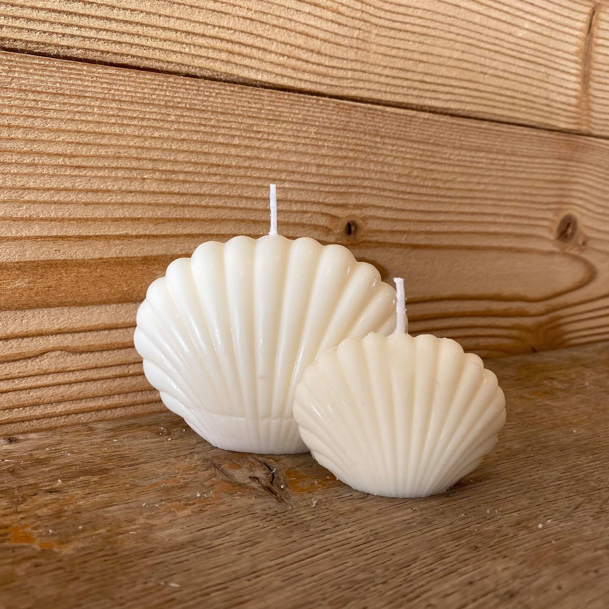 Petit et Grand Jeu de Coquille