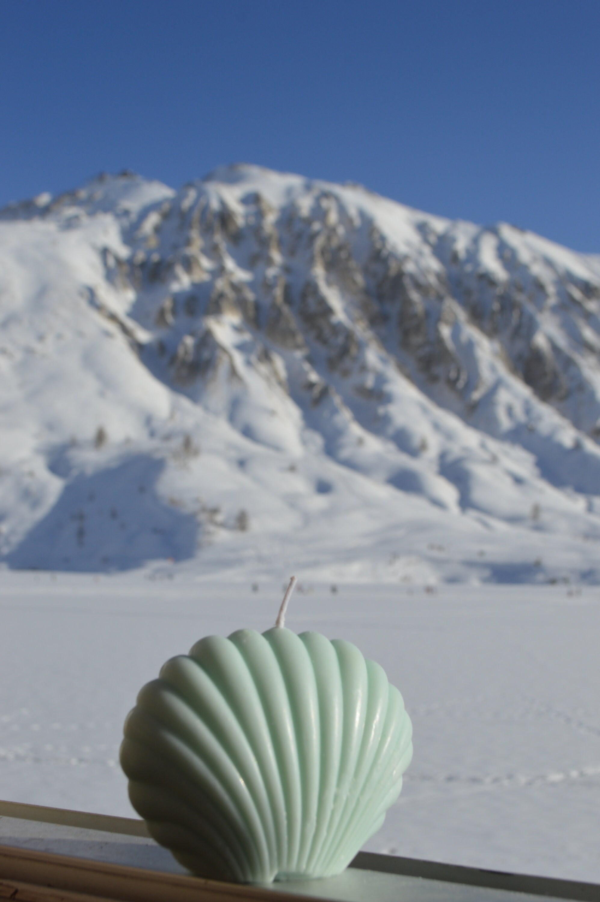 Grande Bougie de Coquille/Cire Soja Coquillage Parfumée Versée à La Main Décor Maison Bougie en Coqu