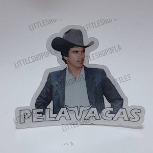 Chalino inspired Sticker