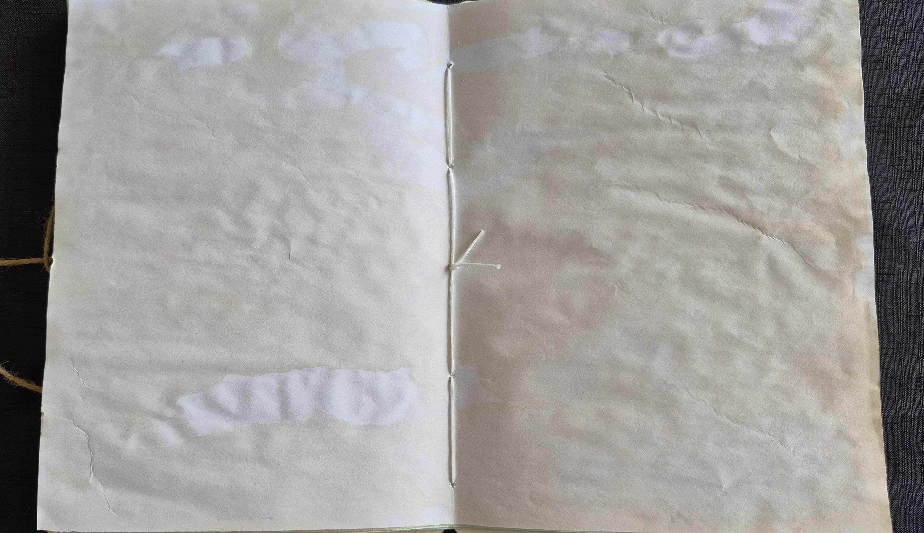 Edith Holden Inspired Journal, Edwardian Lady Diary, Monthly Notebook ...