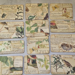May include: A set of twelve rectangular coasters featuring vintage-style collage art for each month of the year. Each coaster displays botanical illustrations, butterflies, birds, mushrooms, and handwritten-style text on a cream-coloured background.