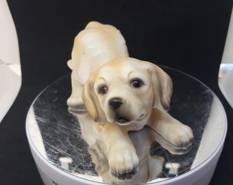 Cutest porcelain golden retriever puppy Creation of Harvey Knox for Stilia collection