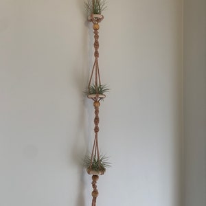 May include: A macrame plant hanger with three wooden pots and air plants. The hanger is made of natural brown twine and has a tassel at the bottom.