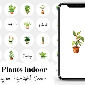 Piante Instagram Evidenzia copertine Piante da appartamento Storia Instagram Evidenzia pianta Icone per storie di Instagram