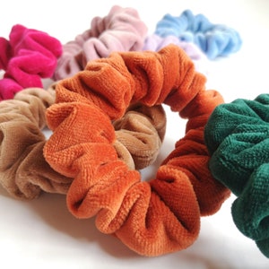 Pu&ograve; includere: Un set di scrunchies colorati realizzati in tessuto morbido e vellutato. Gli scrunchies sono disponibili in una variet&agrave; di colori, tra cui rosa, marrone, arancione, verde e blu.