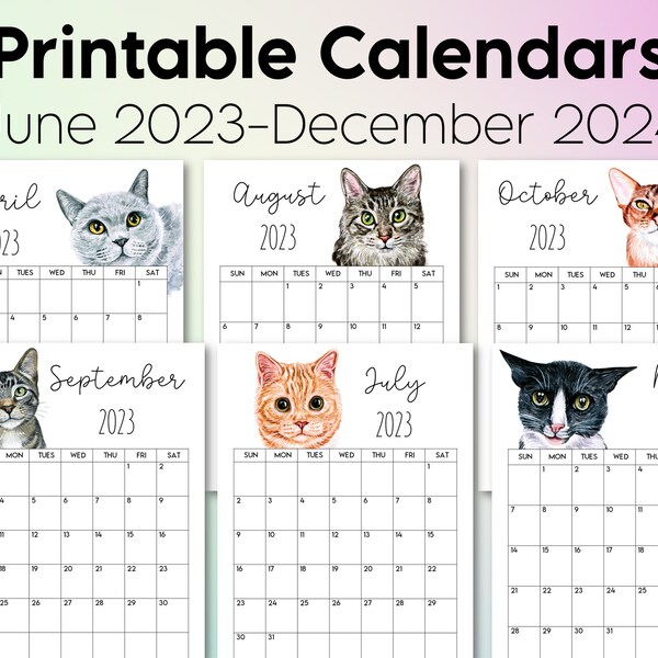 Cat Calendar 2024 Etsy