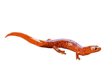Tiny Mudpuppy Miniature BLANK