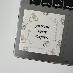 May include: A white sticker with a whimsical illustration of a cat with wings, a book, and a cup. The text "just one more chapter." is written in black cursive font. The sticker is on a silver laptop.