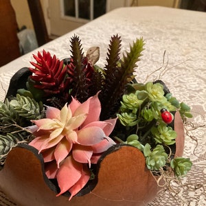 Gourd bowl of succulents