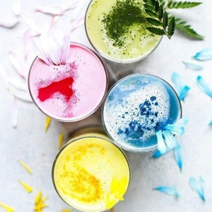 Tasting pack: 1 Beet + 1 Blue + 1 Golden + 1 Matcha Lattes. Superfood rainbow lattes. 4 pouches. 2 servings per flavor. Taste the rainbow!