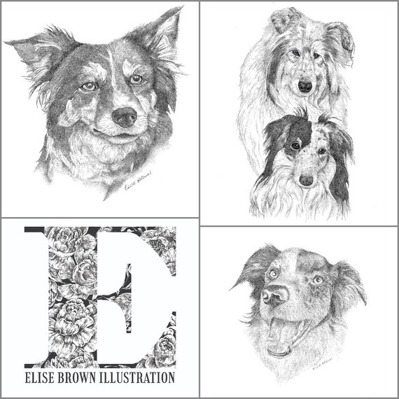 Custom Pet Portrait Hand Drawn Pet Portrait Pet Drawing Etsy