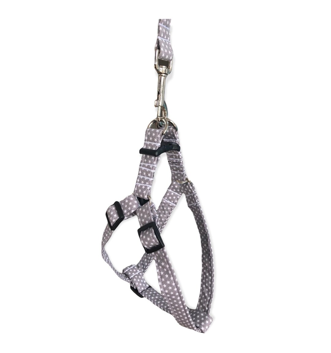 Step Into Dog Harness Adjustable Dog Harness Grey Star Dog Etsy UK