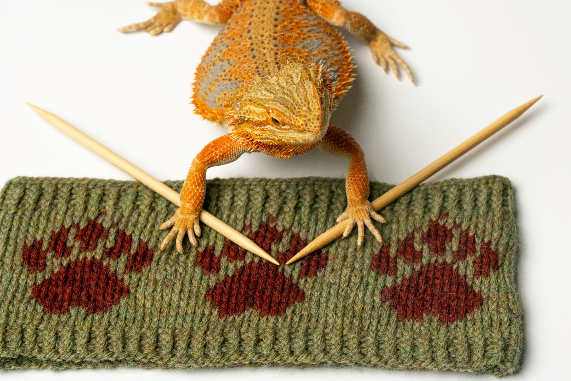 Knitting Pattern: the Bear Paw Headband, Bear Claw Ear Warmer - Etsy