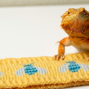 May include: A yellow knitted headband with a blue and white bee pattern. A bearded dragon lizard is sitting on the headband.
