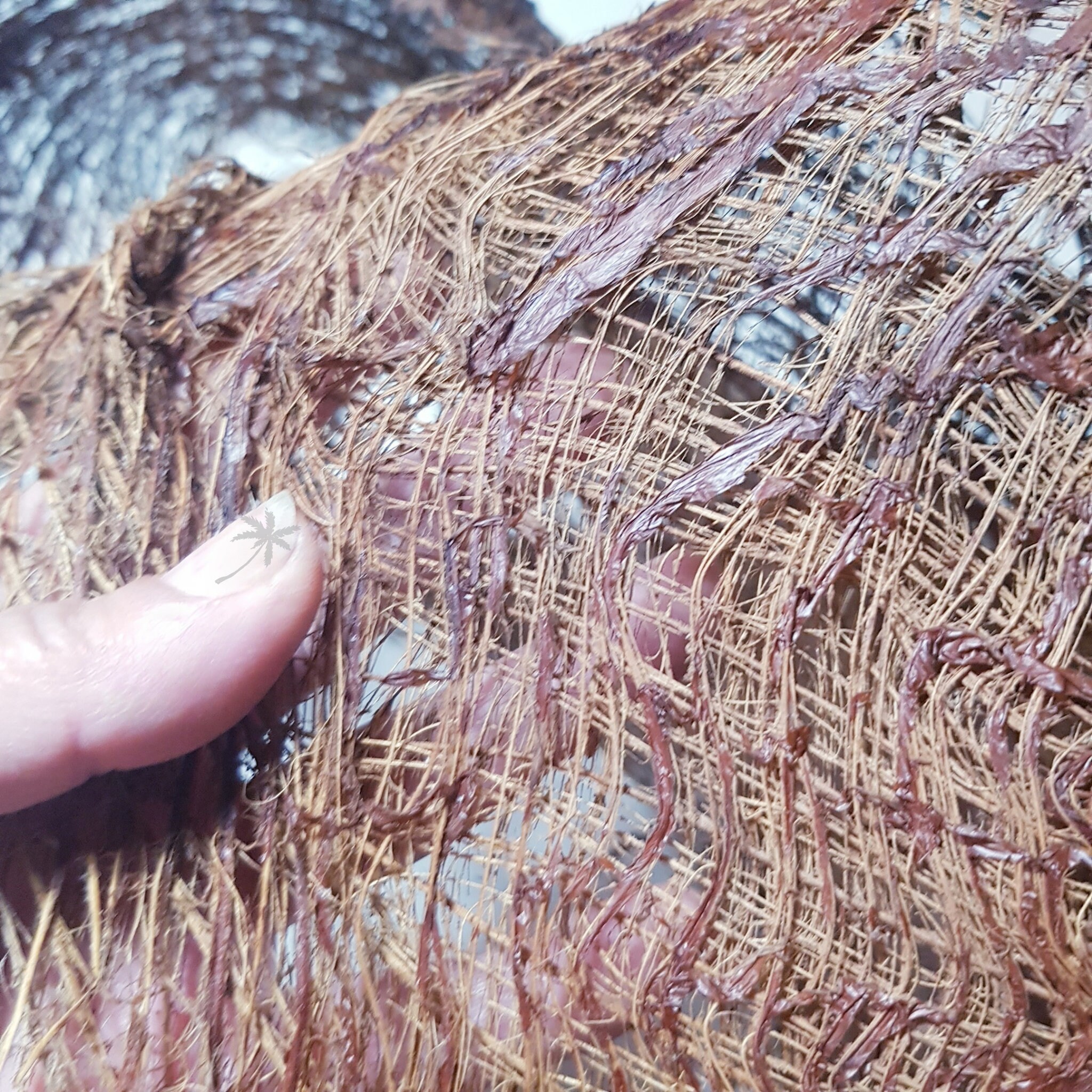 Natural Date Palm Tree Fiber for Decoration Floral Etsy