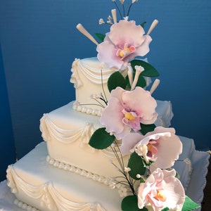 Lovely Edible Sugar Paste Orchids