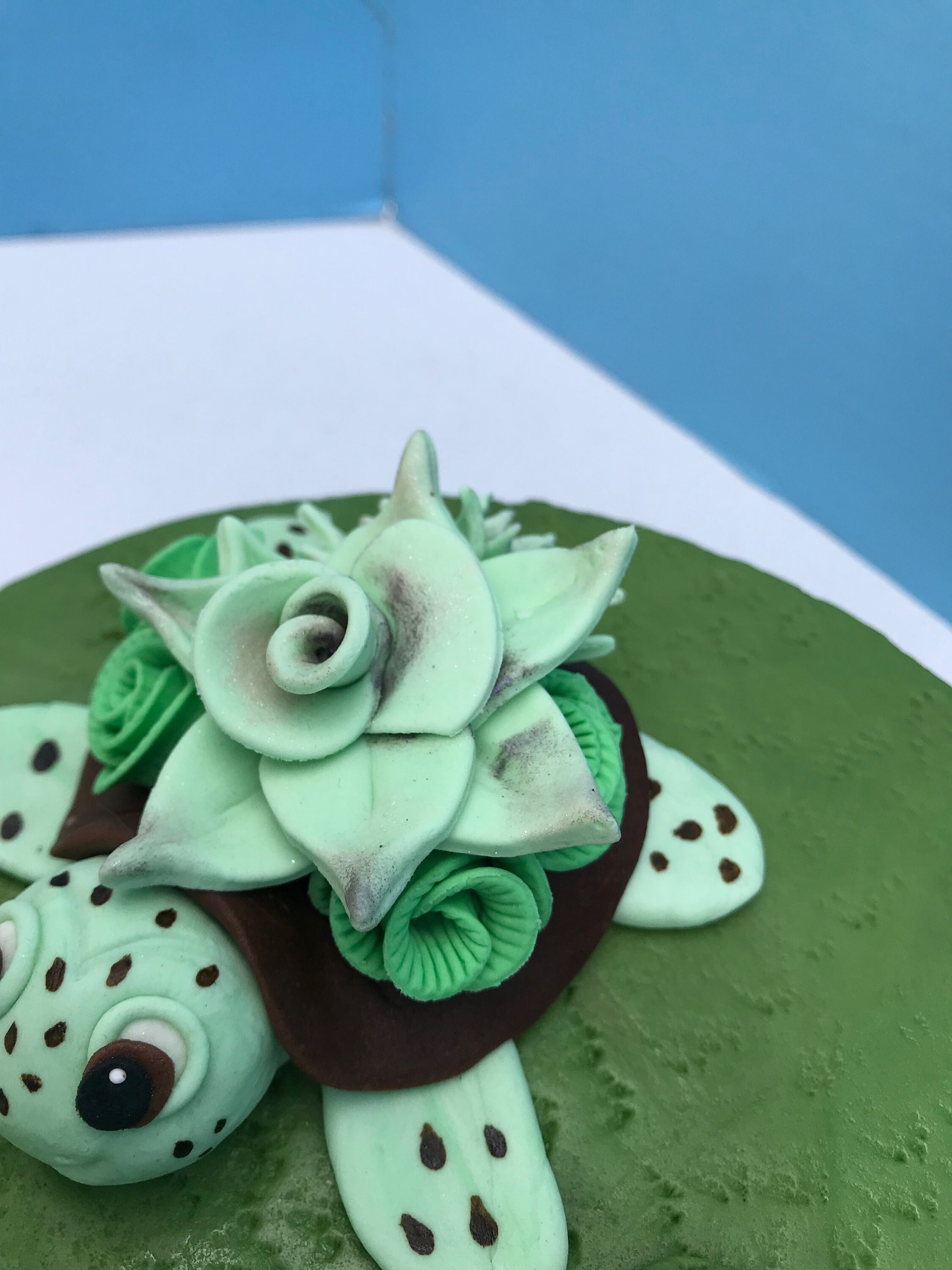 Edible Fondant Turtle and Succulents - Etsy