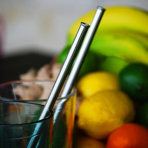 Trailblazer Stainless Steel Reusable Straw Set with Wool Case