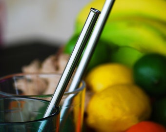 Trailblazer Stainless Steel Reusable Straw Set with Wool Case