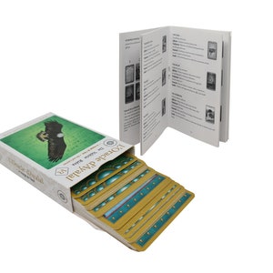 Oracle Divinatoire d'Ayalal (51 cartes conçues et fabriquées en France) - inspiration Chamanes Mongols