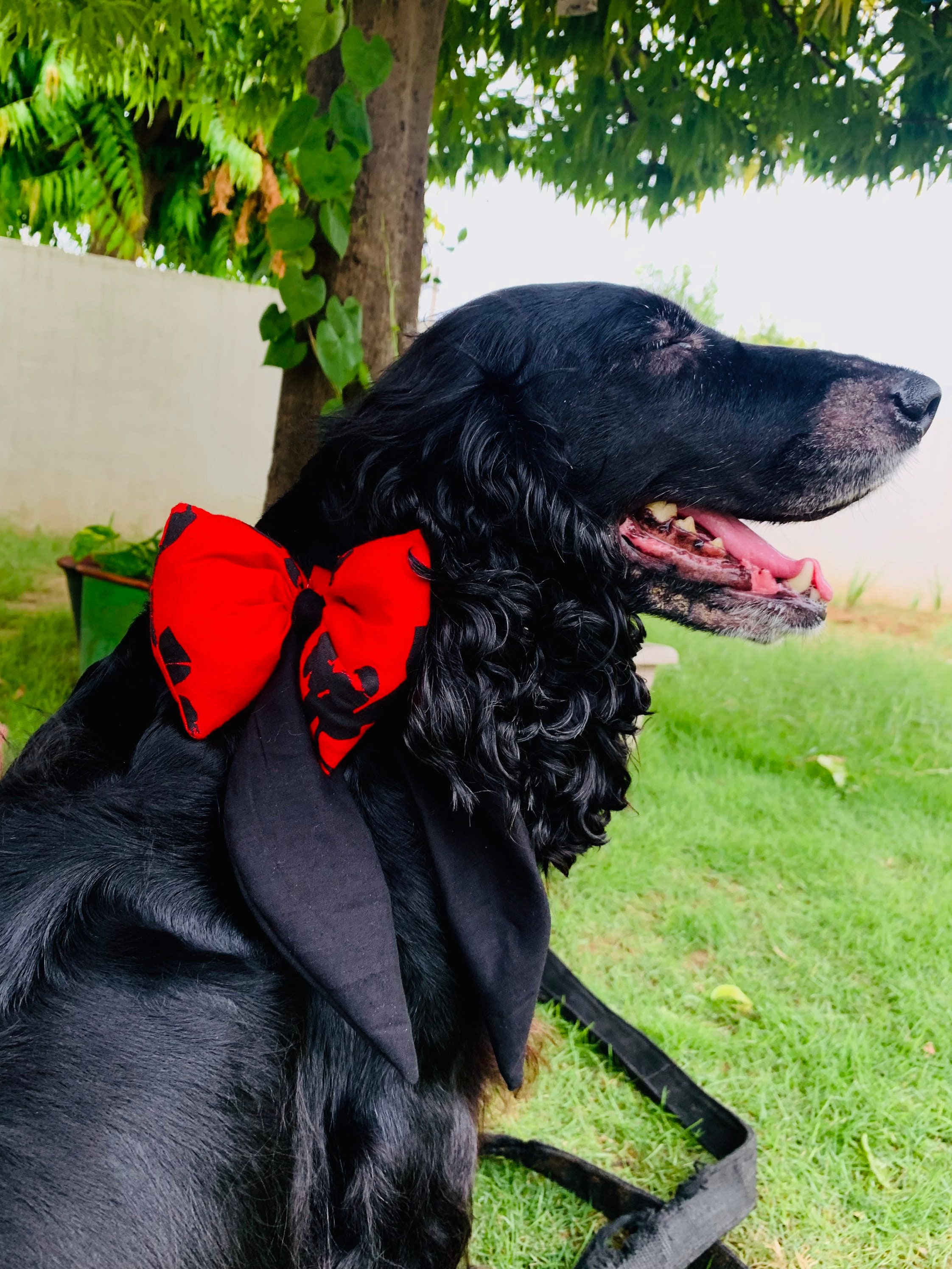 Dog Bow Scrunchie Set, Matching Dog Bowtie & Scrunchie, & Owner Bowtie, Human Matching Scrunchie