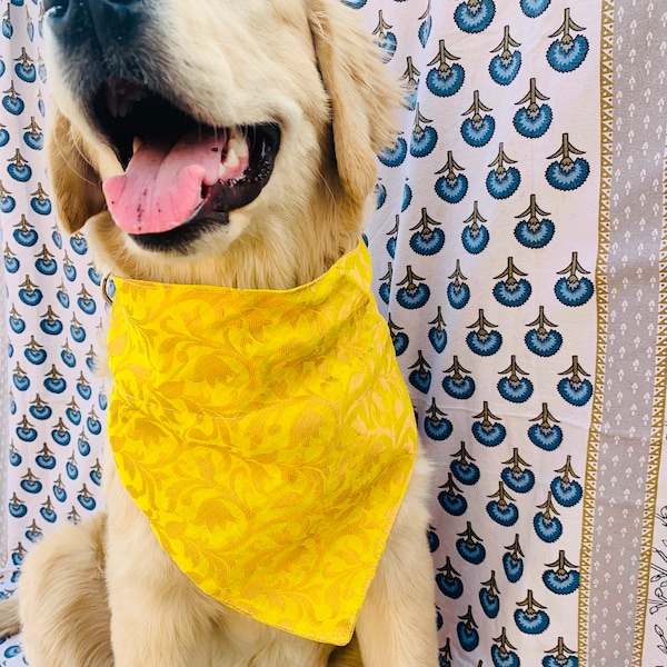 Indian Dog Costume Etsy