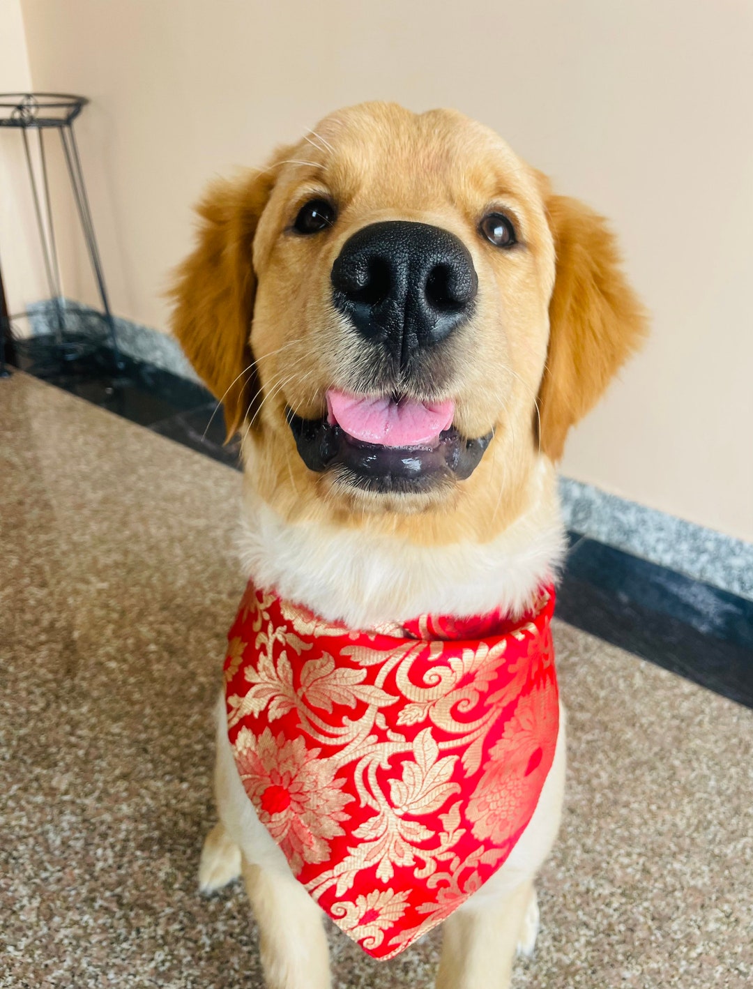 Dog Indian Bandana, Dog Bandana, Dog Wedding Bandana, Indian Dog