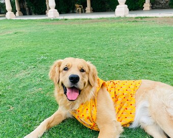 Dog Sherwani: Indian Wedding Outfit, Luxury Pet Clothing