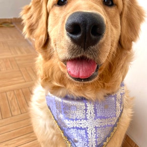 Dog Indian bandana, Dog bandana, Dog wedding bandana, Indian Dog bandana, Shadi, Luxury Bandana image 6