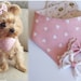 see more listings in the Dog bandanas section