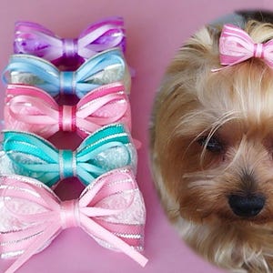 Bows and ties dog grooming online