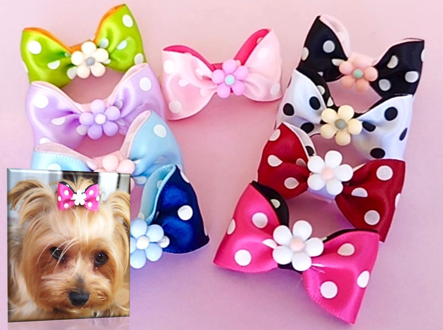 Poodle With Hair Bow Australia