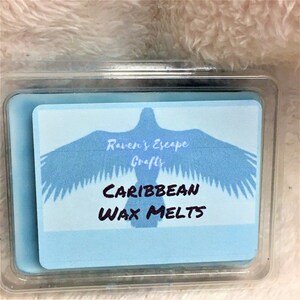 Caribbean Scented wax Melts, Food Wax Melts, Tropical Wax Tarts, Home Fragrance Beach, Pineapple Orange Coconut Cherry Vanilla Scented