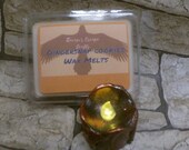Gingerbread Cookie, Soy Blend Wax Melts, Wax Fragrance, Melt Tarts, six break apart, Clamshell, highly fragranced, Winter, Christmas gift