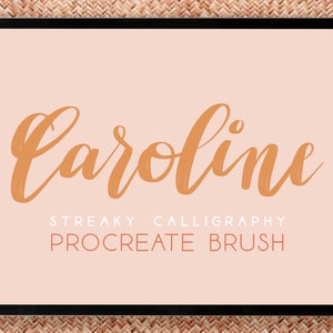 Caroline Streaky Calligraphy Procreate Brush (Digital Download)