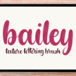 Bailey Textur Schriftzug Kalligraphie Pinsel, digitale Kunst Pinsel, sofortiger Download, raue grungy Skizze Zeichnung