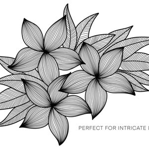 K&ouml;nnte beinhalten: Schwarz-wei&szlig;e Illustration von Blumen und Bl&auml;ttern. Das Bild zeigt drei Bl&uuml;ten mit jeweils f&uuml;nf Bl&uuml;tenbl&auml;ttern und mehrere Bl&auml;tter, alle mit detaillierten Linien. Der Text unten lautet "PERFECT FOR INTRICATE DESIGNS".