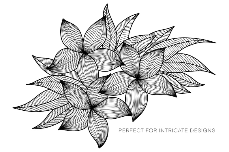 K&ouml;nnte beinhalten: Schwarz-wei&szlig;e Illustration von Blumen und Bl&auml;ttern. Das Bild zeigt drei Bl&uuml;ten mit jeweils f&uuml;nf Bl&uuml;tenbl&auml;ttern und mehrere Bl&auml;tter, alle mit detaillierten Linien. Der Text unten lautet "PERFECT FOR INTRICATE DESIGNS".