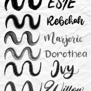 May include: A collection of six black and white wavy lines with different textures, each paired with a name written in a stylized font. The names are Este, Rebekah, Marjorie, Dorothea, Ivy, and Willow.