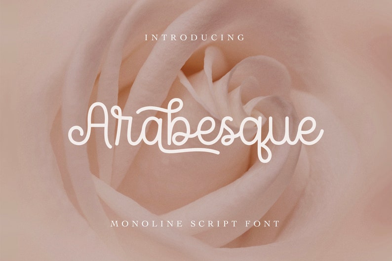 May include: Introducing Arabesque, a monoline script font. The font name is displayed in white against a soft, peach-colored background with a close-up of a rose.