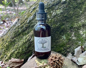 Lions' mane, Turkey Tail, Reishi // Tincture// Organic // Wild Harvested // Extract // Organic // (1 ounce) FRUITING BODIES ONLY