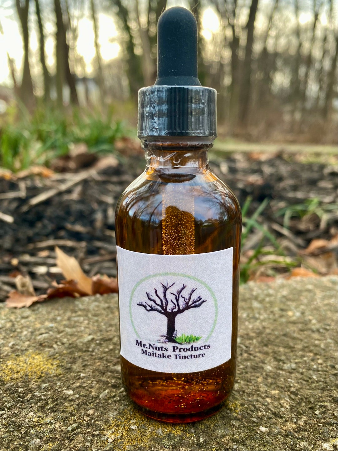 Maitake // Tincture// Organic // Wild Harvested // Extract // Organic