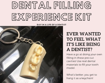 Dentist Taster Kit Experience: Day in a life of a Dentist, Dental School Practice Kit for Aspiring Dentists, Tooth Model Keychain Gift DIY