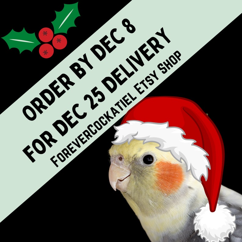 May include: A cockatiel wearing a Santa hat, with text that reads "ORDER BY DEC 8 FOR DEC 25 DELIVERY FOREVERCOCKATIEL ETSY SHOP" on a diagonal light green banner. Holly and berries are in the upper left corner. The background is black.