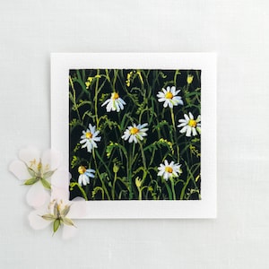 Prairie de camomille parfumée - Impression d'art 10 x 10 cm - Peinture miniature - Peinture de petites fleurs - Décoration murale nature