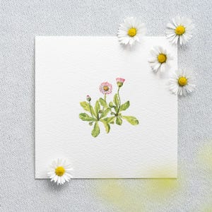 Kleines Gänseblümchen - Miniatur Aquarell – Kunstdruck 10x10cm vom Original - Blumen - kleines Gemälde Bild Zimmer Wand Deko