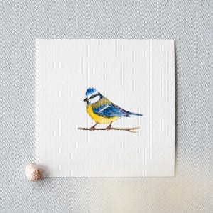 Piccola cinciarella eccitata - acquerello in miniatura - stampa artistica 10 x 10 cm dall'originale - dipinto di uccelli piccolo dipinto
