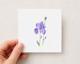 Iris viola - Stampa artistica ad acquerello - Piccola opera botanica 10 x 10 cm - Regalo - Decorazione murale - Fiori