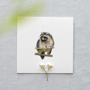 Funny raccoon – art print 10 x 10 cm – miniature watercolor – painting animal portrait – small painting picture children&#39;s room wall decoration